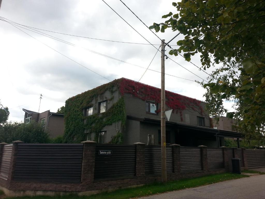 טרטו Eha Suija Home Accommodation מראה חיצוני תמונה